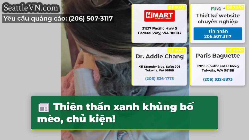 Thiên thần xanh khủng bố mèo, chủ kiện!
