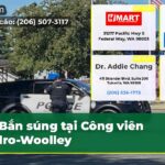 Bắn súng tại Công viên Sedro-Woolley
