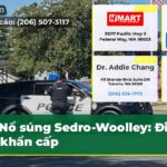 Nổ súng Sedro-Woolley Điều tra khẩn cấp