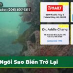 Ngôi Sao Biển Trở Lại