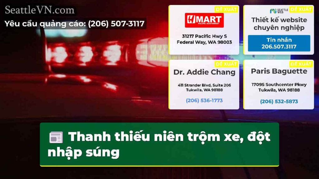 Thanh thiếu niên trộm xe, đột nhập súng