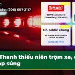 Thanh thiếu niên trộm xe đột nhập súng