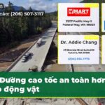 Đường cao tốc an toàn hơn cho động vật
