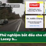 Thử nghiệm bắt đầu cho cha mẹ Lacey b…