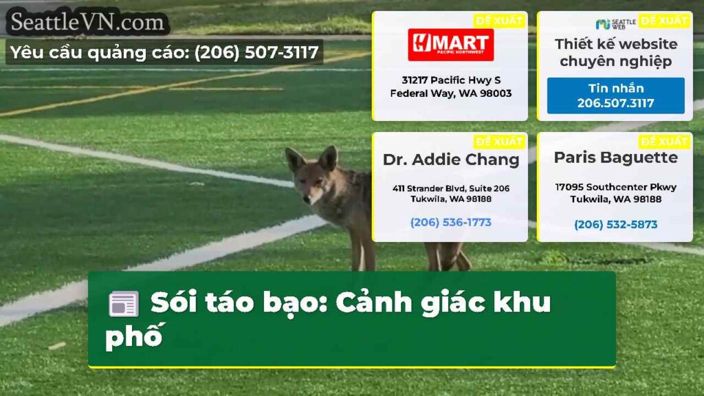 Sói táo bạo: Cảnh giác khu phố