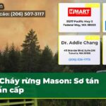 Cháy rừng Mason Sơ tán khẩn cấp