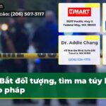 Bắt đối tượng tìm ma túy bất hợp pháp
