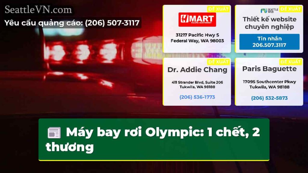 Máy bay rơi Olympic: 1 chết, 2 thương