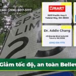 Giảm tốc độ an toàn Bellevue
