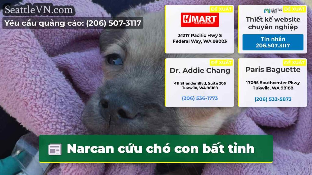 Narcan cứu chó con bất tỉnh