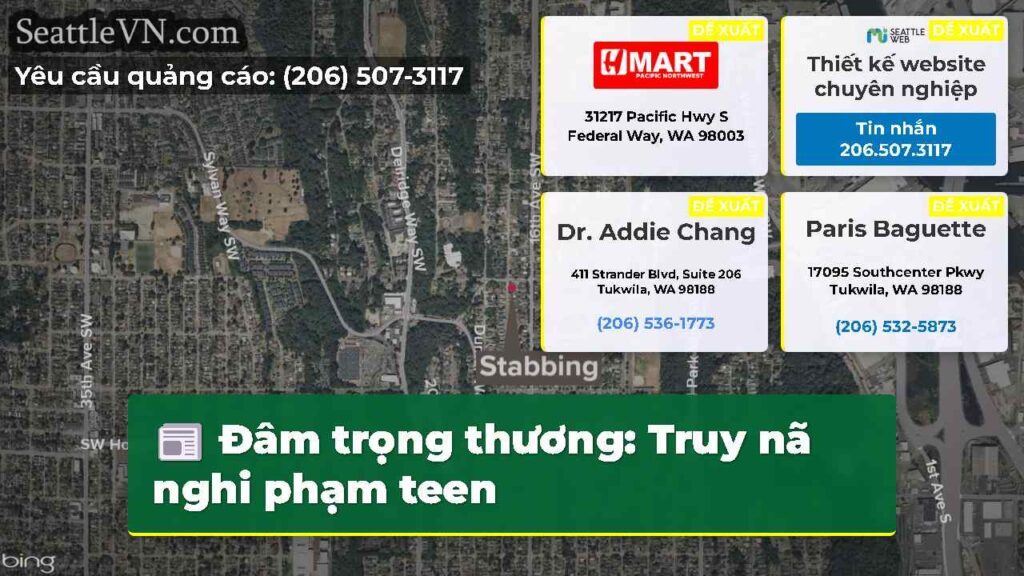 Đâm trọng thương: Truy nã nghi phạm teen