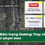 Đâm trọng thương Truy nã nghi phạm teen