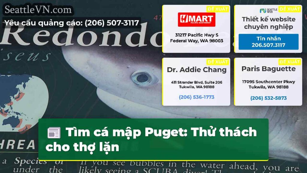 Tìm cá mập Puget: Thử thách cho thợ lặn