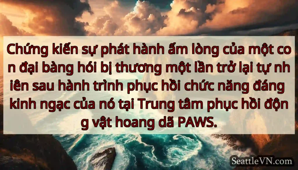 Chứng kiến ​​sự phát hành ấm lòng của một con đại