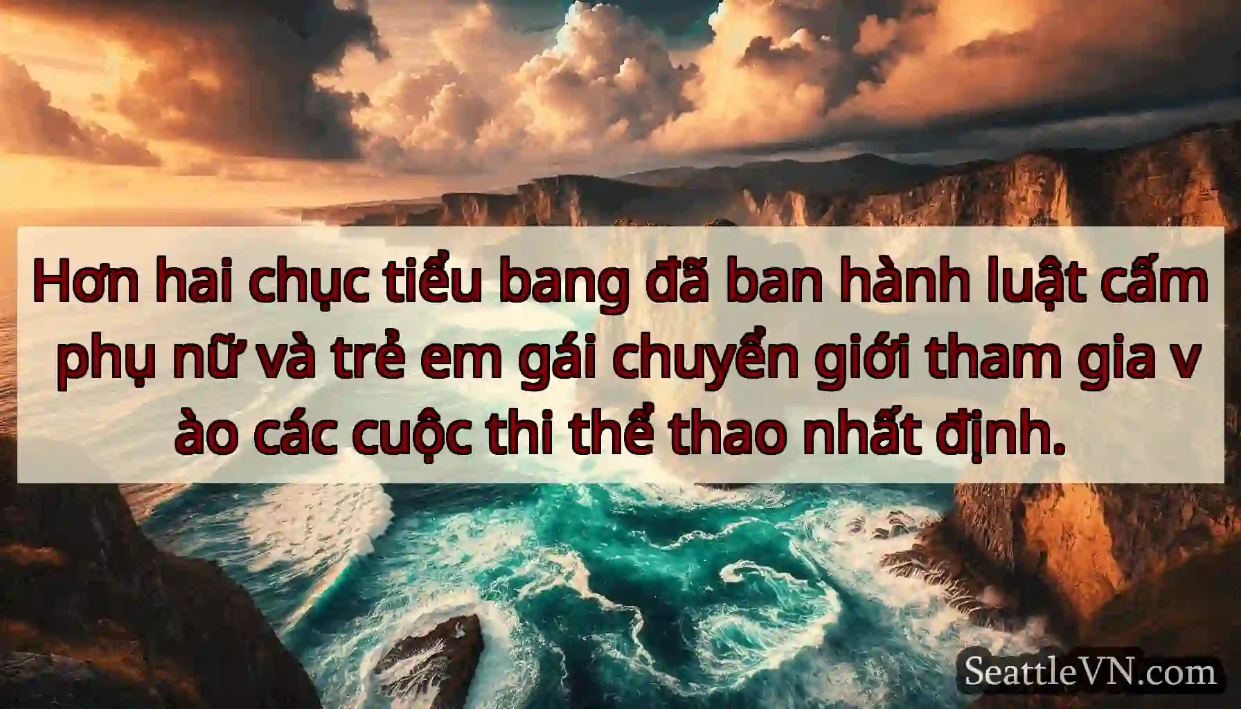 Hơn hai chục tiểu bang đã ban hành luật cấm phụ