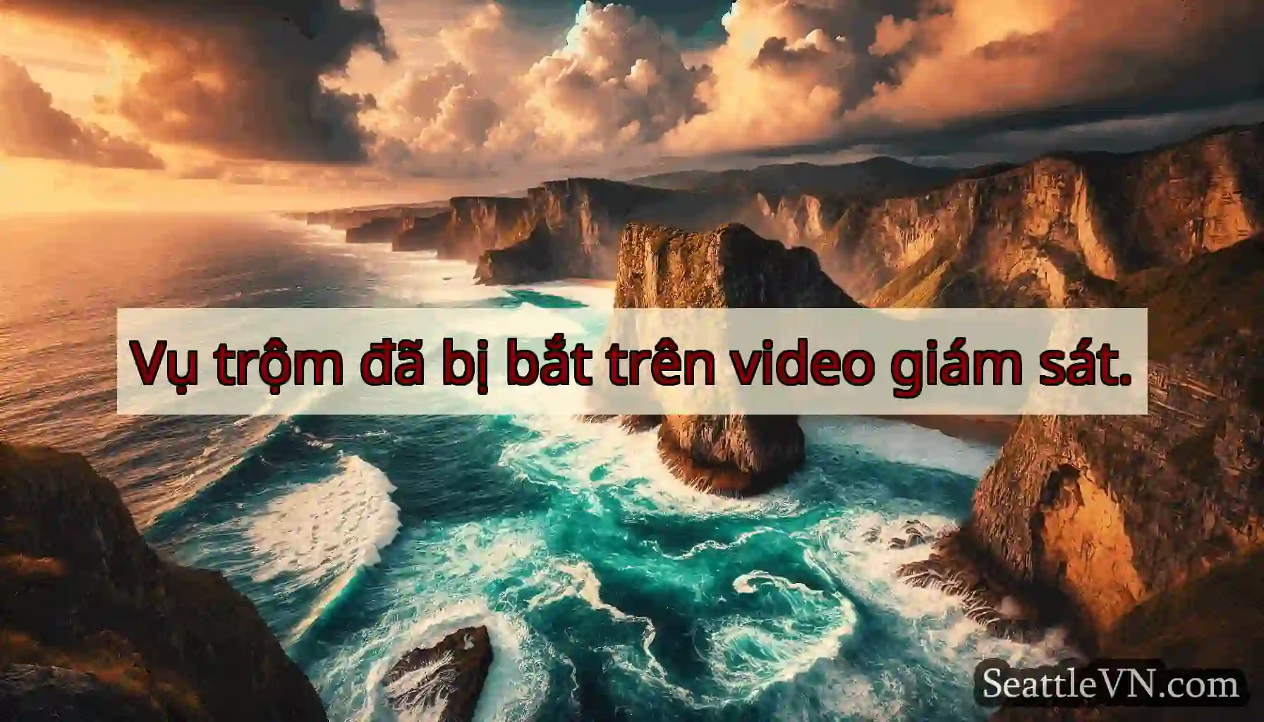 Vụ trộm đã bị bắt trên video giám sát.