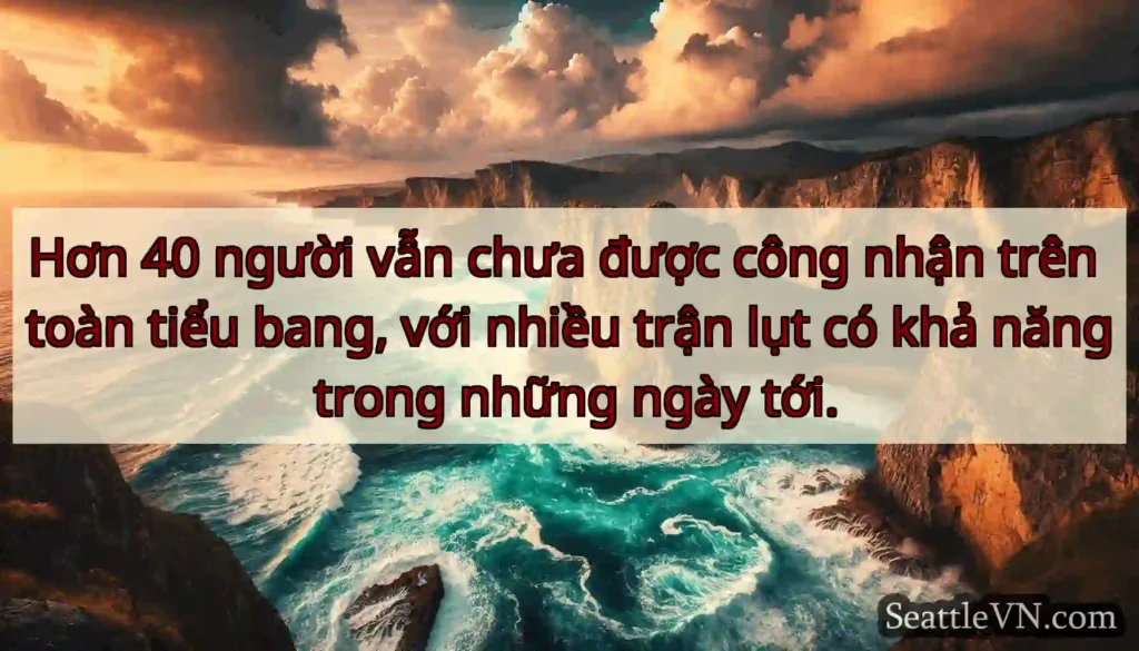 Hơn 40 người vẫn chưa được công nhận trên toàn