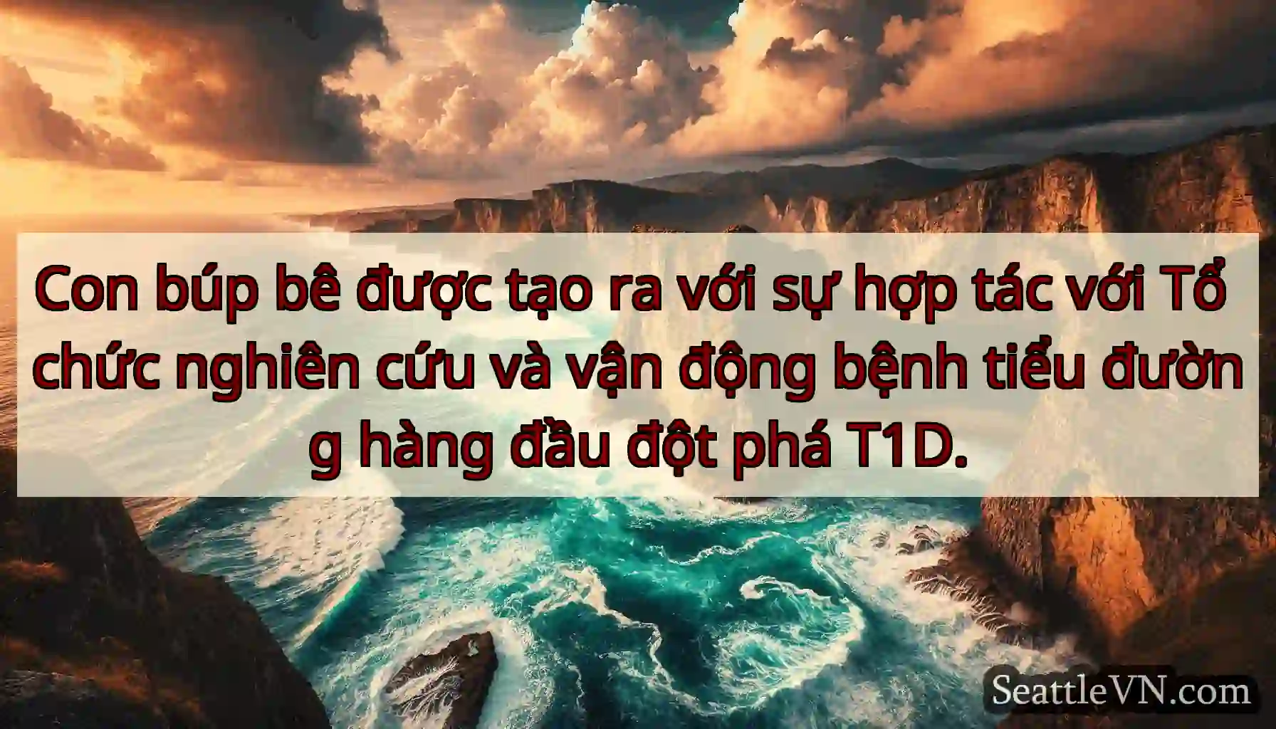 Con búp bê được tạo ra với sự hợp tác với Tổ chức