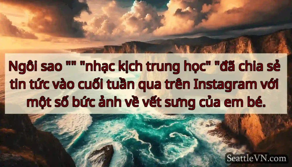 Ngôi sao nhạc kịch trung học đã chia sẻ tin tức