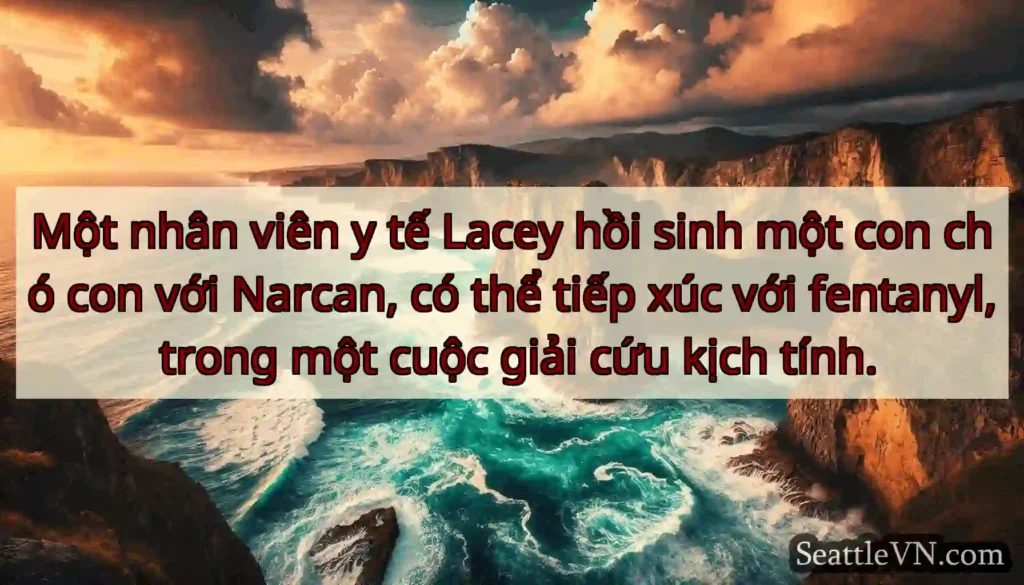 Một nhân viên y tế Lacey hồi sinh một con chó con