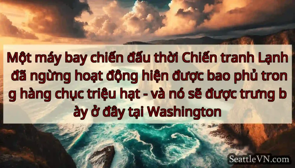 Một máy bay chiến đấu thời Chiến tranh Lạnh đã