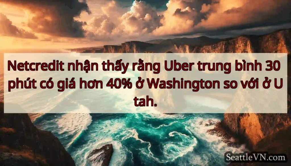 Netcredit nhận thấy rằng Uber trung bình 30 phút