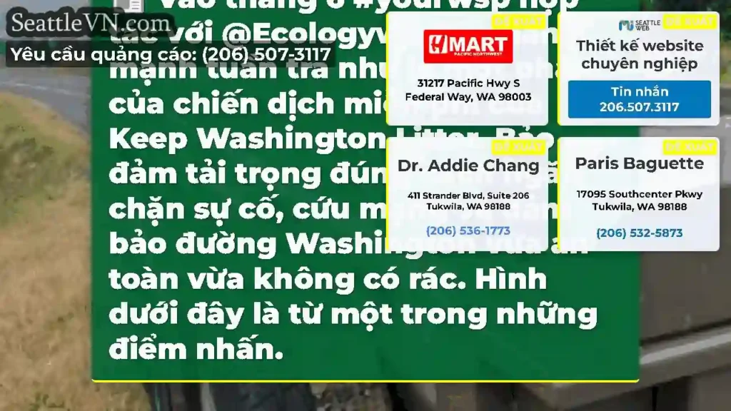 Vào tháng 6 #yourwsp hợp tác với
