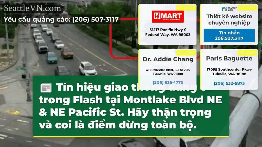 Tín hiệu giao thông đang ở trong Flash tại