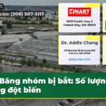 Băng nhóm bị bắt Số lượng tăng đột biến
