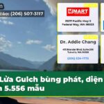 Lửa Gulch bùng phát diện tích 5.556 mẫu