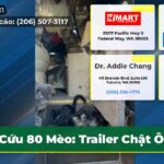 Cứu 80 Mèo Trailer Chật Ôm