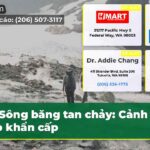 Sông băng tan chảy Cảnh báo khẩn cấp