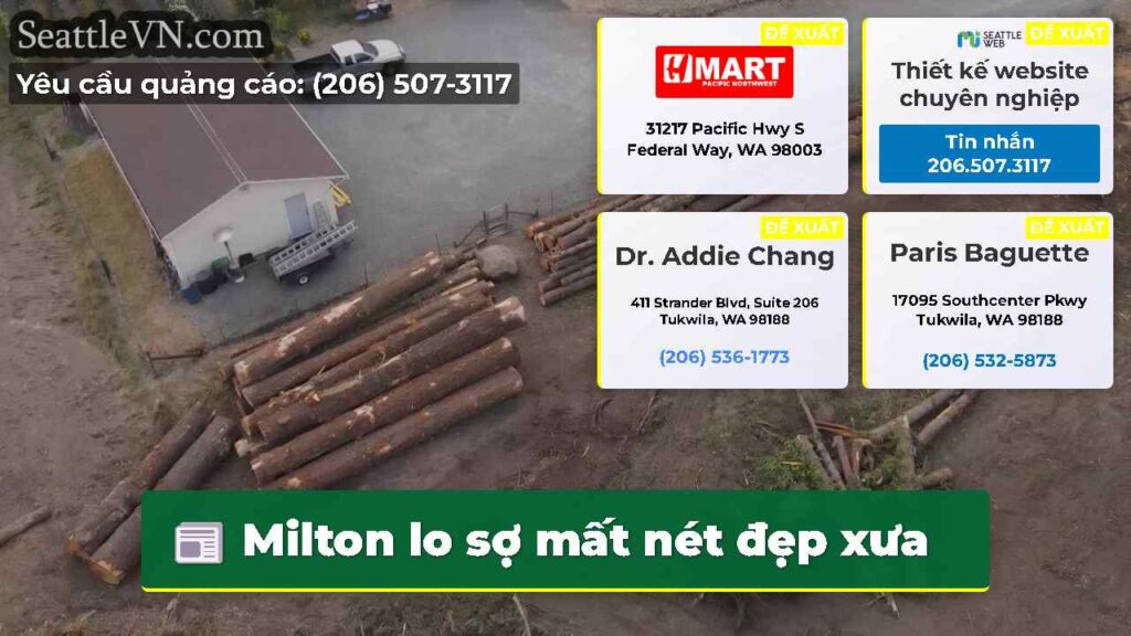 Milton lo sợ mất nét đẹp xưa
