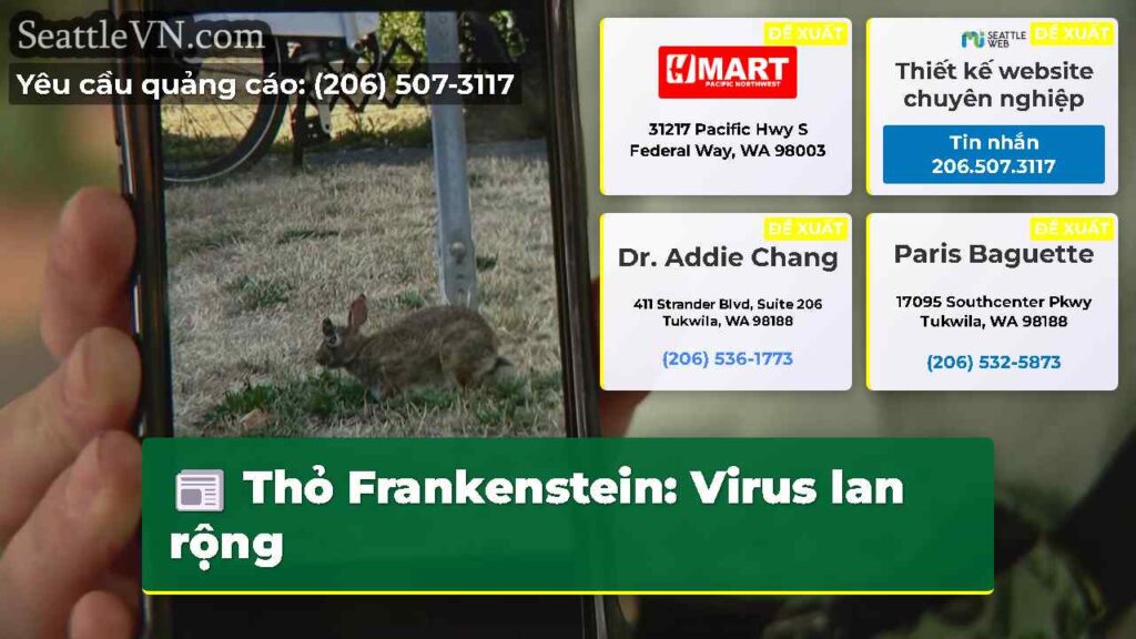 Thỏ Frankenstein: Virus lan rộng