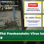 Thỏ Frankenstein Virus lan rộng