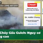 Cháy Gấu Gulch Nguy cơ tăng cao