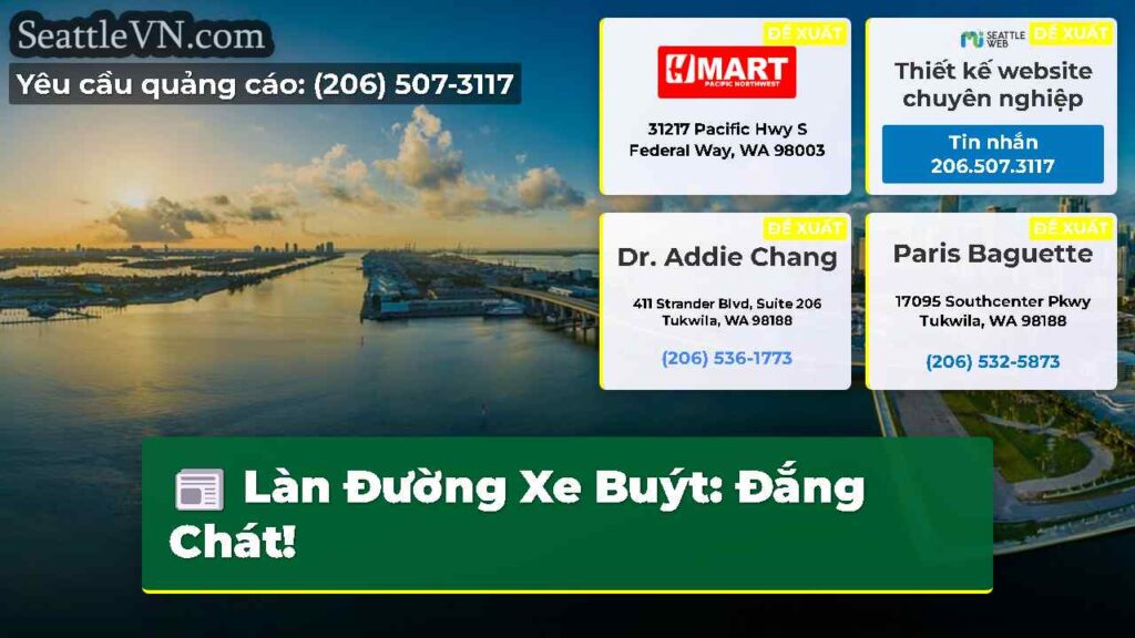 Làn Đường Xe Buýt: Đắng Chát!