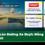 Làn Đường Xe Buýt Đắng Chát!