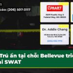 Trú ẩn tại chỗ Bellevue triển khai SWAT