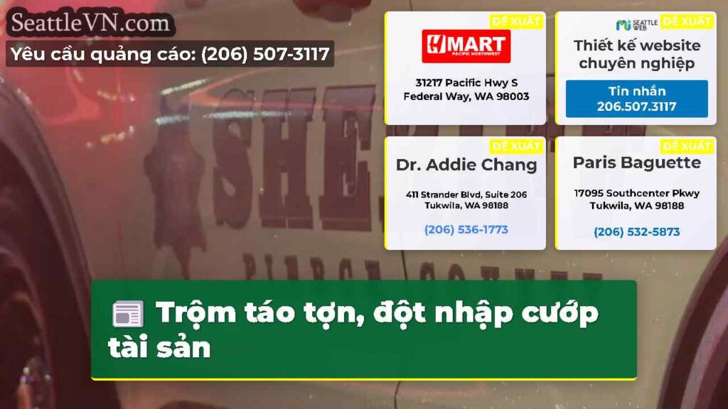 Trộm táo tợn, đột nhập cướp tài sản