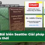 Bãi biển Seattle Giải pháp tạm thời