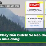 Cháy Gấu Gulch Sẽ kéo dài đến mùa đông