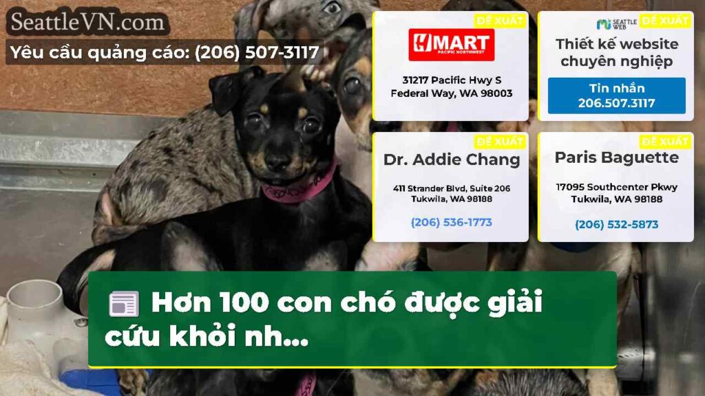 Hơn 100 con chó được giải cứu khỏi nh...