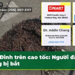 Đinh trên cao tốc Người đàn ông bị bắt
