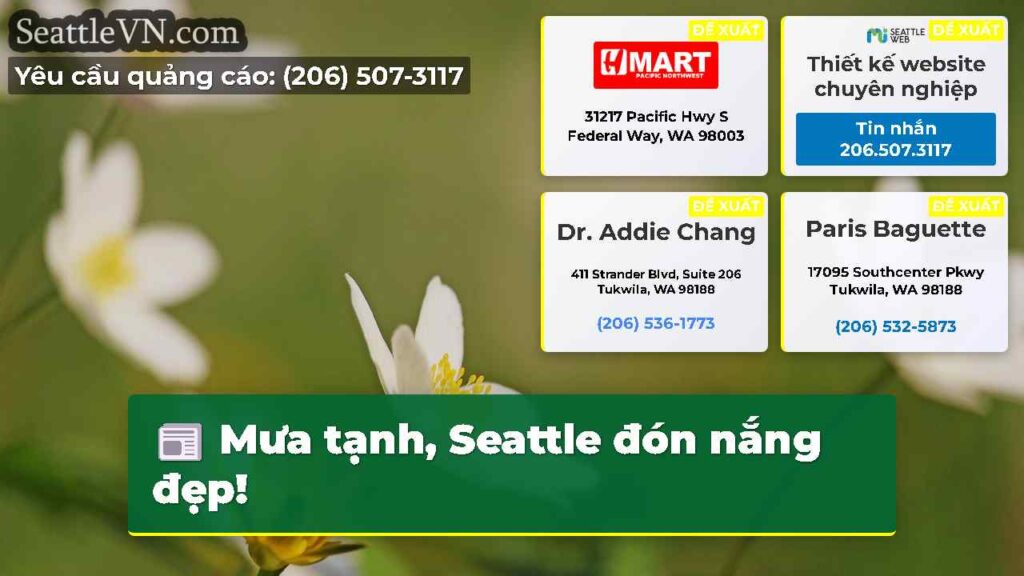 Mưa tạnh, Seattle đón nắng đẹp!