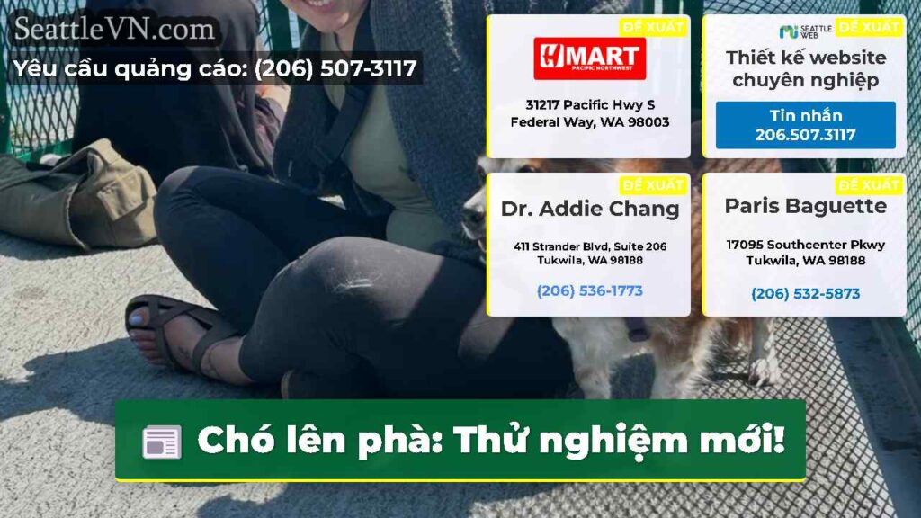 Chó lên phà: Thử nghiệm mới!