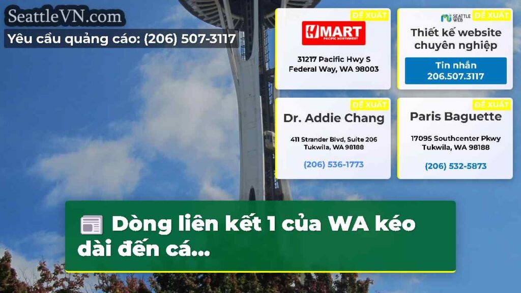Dòng liên kết 1 của WA kéo dài đến cá...