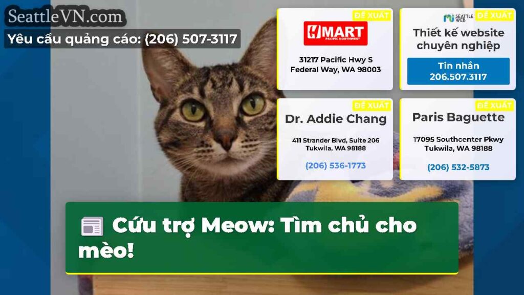 Cứu trợ Meow: Tìm chủ cho mèo!