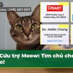 Cứu trợ Meow Tìm chủ cho mèo!