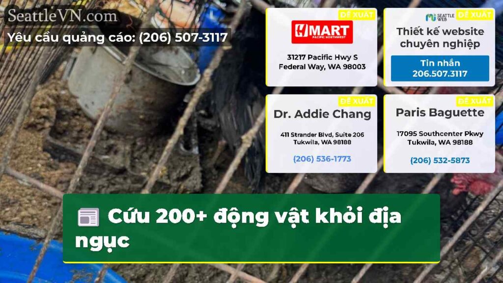 Cứu 200+ động vật khỏi địa ngục